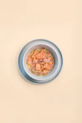 Ceviche de Salmón