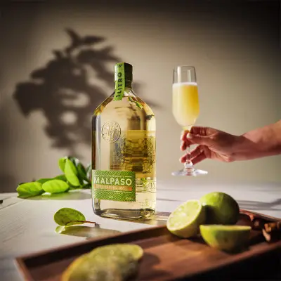 Pisco Sour Tradicional