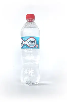 Agua Mineral Sin Gas 500ml