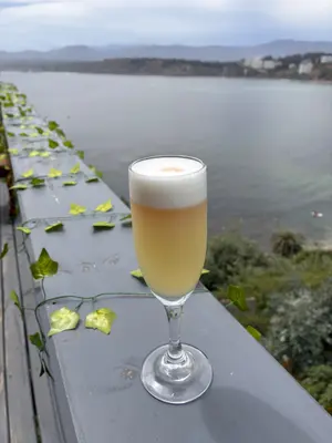 Pisco Sour