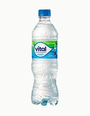Agua Mineral Con Gas 500ml 