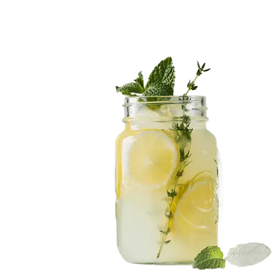 Limonada A La Menta O Menta Jengibre