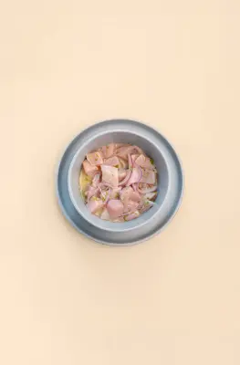 Ceviche de Pescado Tradicional