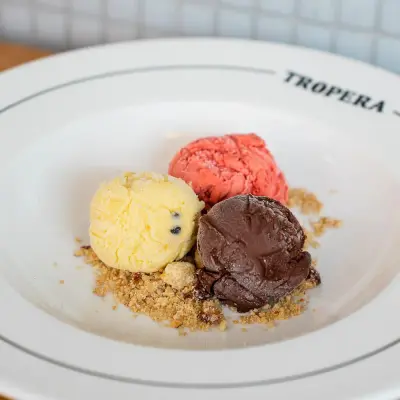 DEGUSTACION DE HELADO